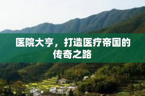 医院大亨，打造医疗帝国的传奇之路