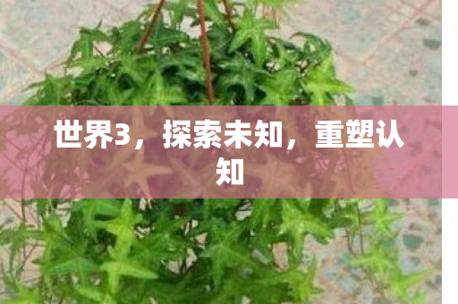 世界3，探索未知，重塑认知