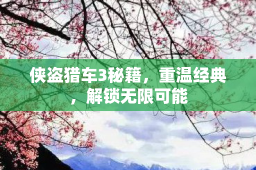 侠盗猎车3秘籍，重温经典，解锁无限可能