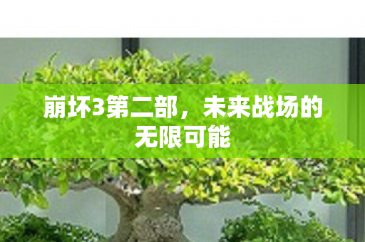 崩坏3第二部，未来战场的无限可能