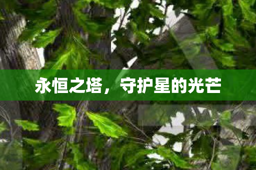 永恒之塔，守护星的光芒