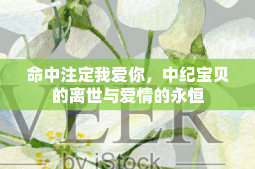 命中注定我爱你，中纪宝贝的离世与爱情的永恒