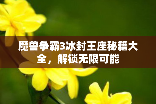 魔兽争霸3冰封王座秘籍大全，解锁无限可能