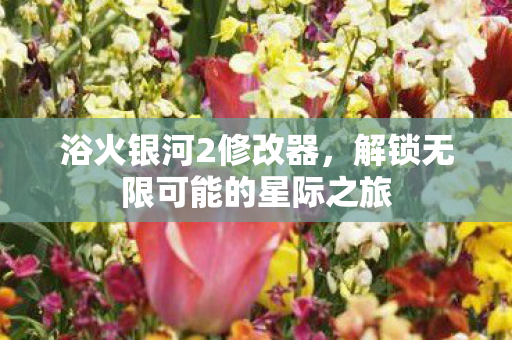 浴火银河2修改器，解锁无限可能的星际之旅