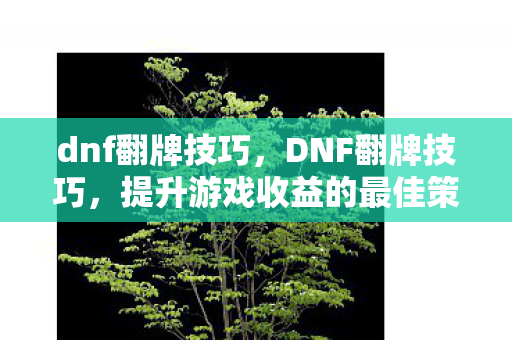 dnf翻牌技巧，DNF翻牌技巧，提升游戏收益的最佳策略