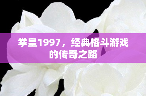 拳皇1997，经典格斗游戏的传奇之路