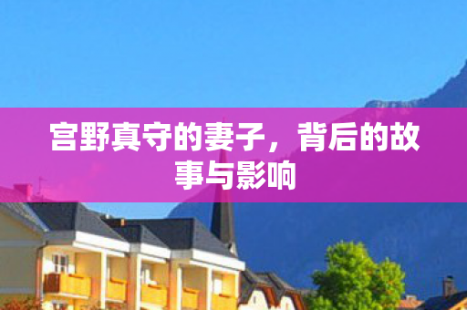 宫野真守的妻子，背后的故事与影响