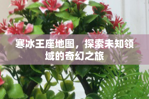寒冰王座地图，探索未知领域的奇幻之旅