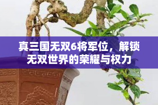 真三国无双6将军位,解锁无双世界的荣耀与权力 真三国无双6将军位,解锁无双世界的荣耀与权力
