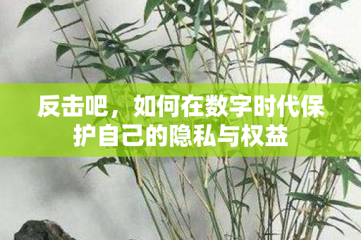 反击吧，如何在数字时代保护自己的隐私与权益