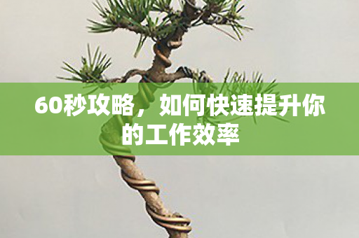 60秒攻略，如何快速提升你的工作效率