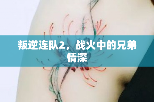 叛逆连队2，战火中的兄弟情深
