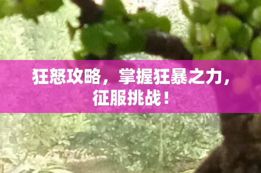 狂怒攻略，掌握狂暴之力，征服挑战！