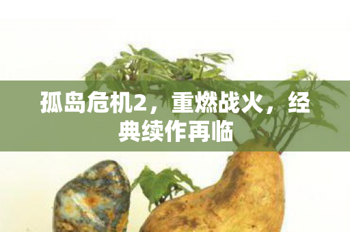 孤岛危机2，重燃战火，经典续作再临