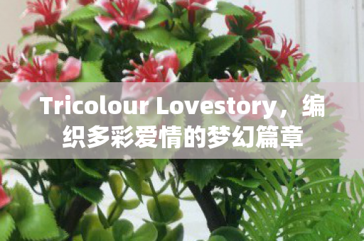 Tricolour Lovestory，编织多彩爱情的梦幻篇章
