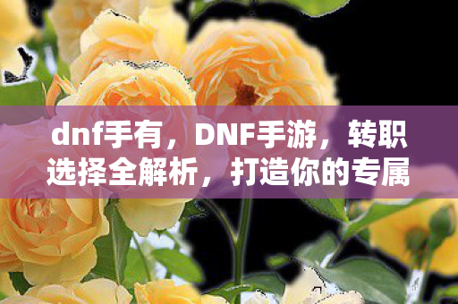 dnf手有，DNF手游，转职选择全解析，打造你的专属战斗风格！