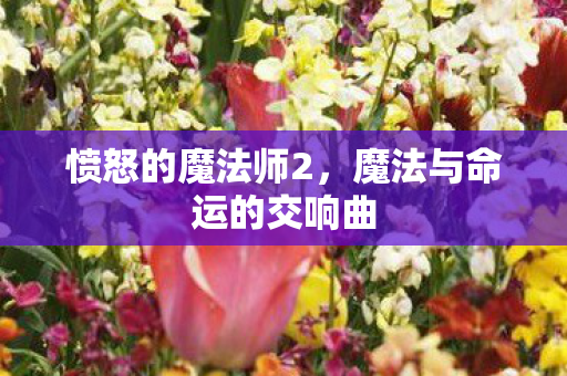 魔法与命运的交响曲图片
