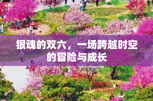 一场跨越时空的冒险与成长图片