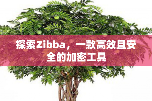 探索Zibba，一款高效且安全的加密工具