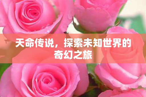天命传说，探索未知世界的奇幻之旅