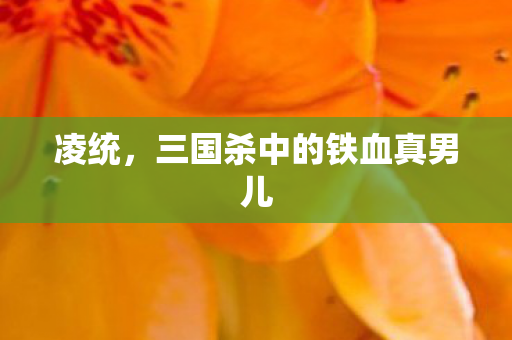 凌统，三国杀中的铁血真男儿
