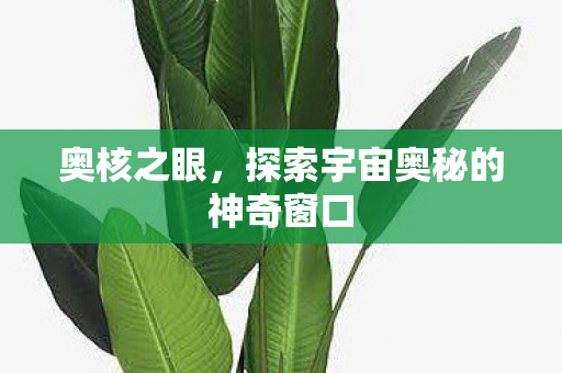 探索宇宙奥秘的神奇窗口图片