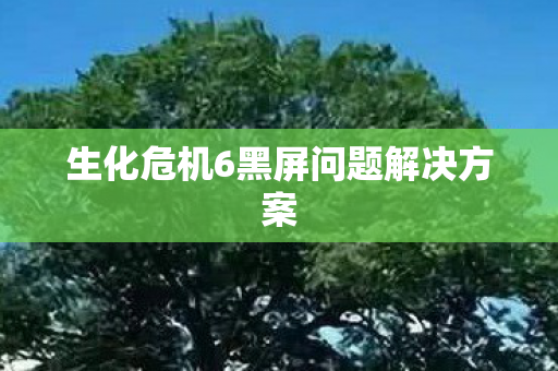 生化危机6黑屏问题解决方案