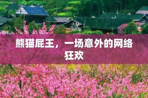 熊猫屁王，一场意外的网络狂欢