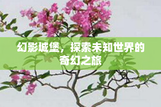 幻影城堡，探索未知世界的奇幻之旅