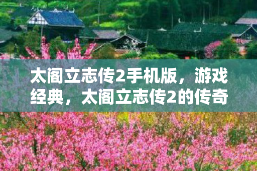 太阁立志传2手机版，游戏经典，太阁立志传2的传奇与回忆