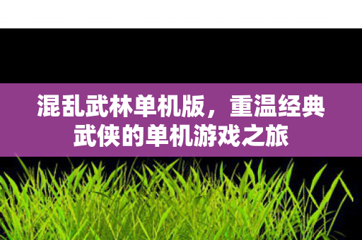 混乱武林单机版，重温经典武侠的单机游戏之旅