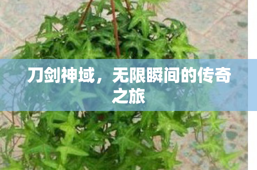 刀剑神域,无限瞬间的传奇之旅 刀剑神域,无限瞬间的传奇之旅