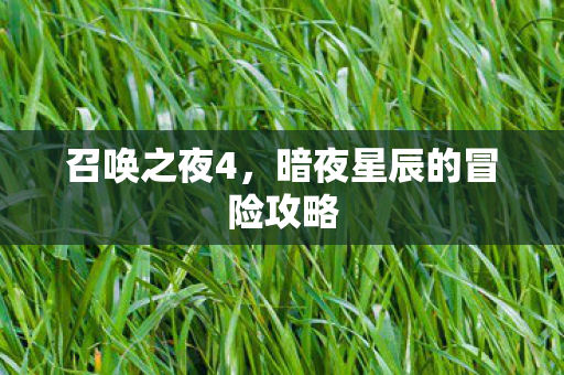 召唤之夜4，暗夜星辰的冒险攻略