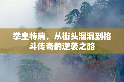 拳皇特瑞，从街头混混到格斗传奇的逆袭之路