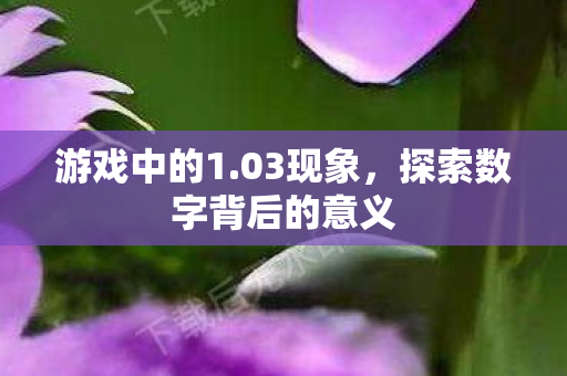 游戏中的1.03现象，探索数字背后的意义