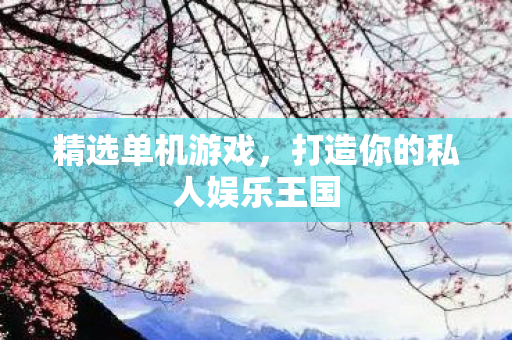 精选单机游戏，打造你的私人娱乐王国