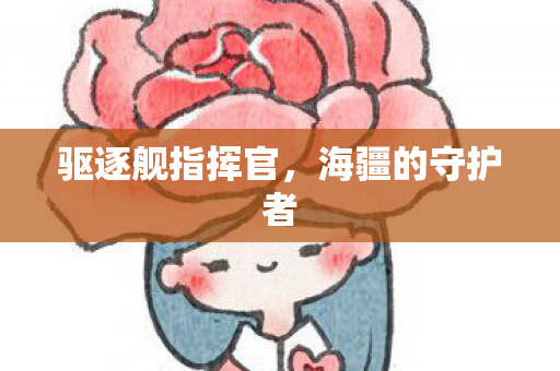 驱逐舰指挥官，海疆的守护者
