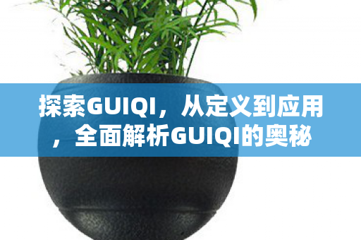 探索GUIQI，从定义到应用，全面解析GUIQI的奥秘