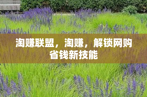 淘赚联盟,淘赚,解锁网购省钱新技能 淘赚联盟,淘赚,解锁网购省钱新技能