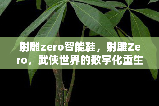 射雕zero智能鞋，射雕Zero，武侠世界的数字化重生