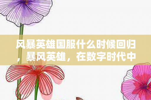 风暴英雄国服什么时候回归，暴风英雄，在数字时代中崛起的游戏传奇