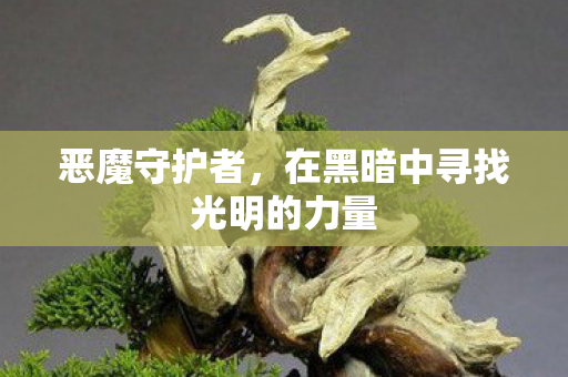 恶魔守护者，在黑暗中寻找光明的力量