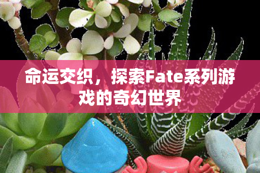 命运交织，探索Fate系列游戏的奇幻世界