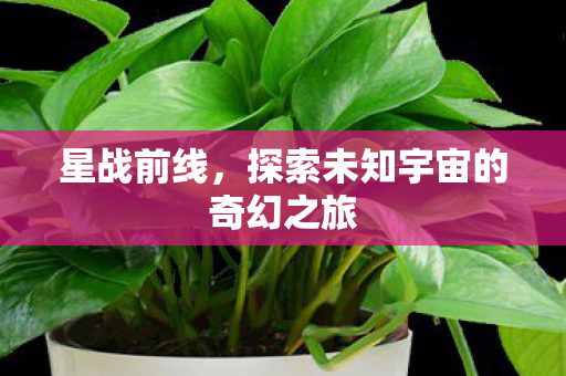 星战前线，探索未知宇宙的奇幻之旅