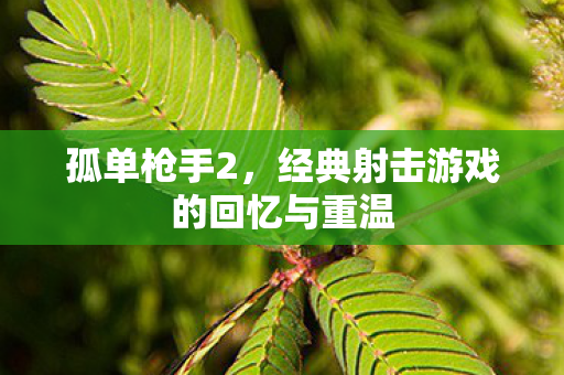 孤单枪手2,经典射击游戏的回忆与重温 孤单枪手2,经典射击游戏的回忆与重温