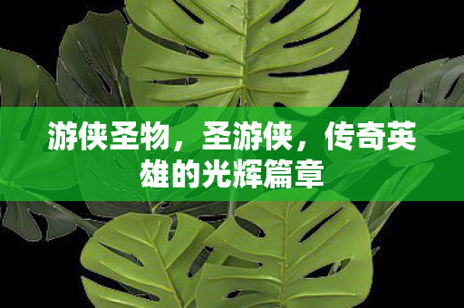 游侠圣物,圣游侠,传奇英雄的光辉篇章 游侠圣物,圣游侠,传奇英雄的光辉篇章