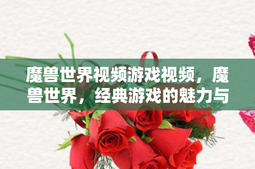 魔兽世界视频游戏视频，魔兽世界，经典游戏的魅力与影响