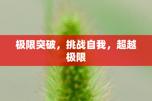 极限突破，挑战自我，超越极限