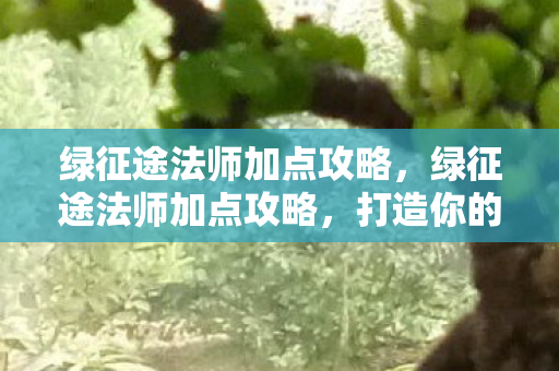 绿征途法师加点攻略,绿征途法师加点攻略,打造你的专属法师之路 绿征途法师加点攻略,绿征途法师加点攻略,打造你的专属法师之路