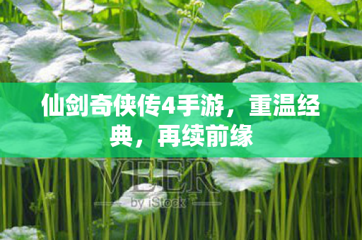 仙剑奇侠传4手游，重温经典，再续前缘